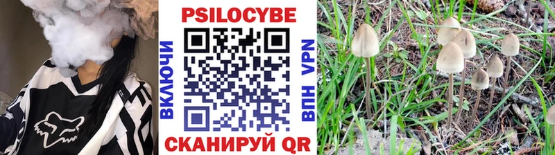 Псилоцибиновые грибы мицелий  Козельск 